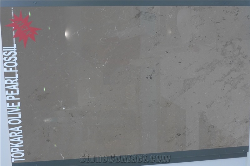 Topkara Olive Pearl Fossil Marble Tiles, Slabs
