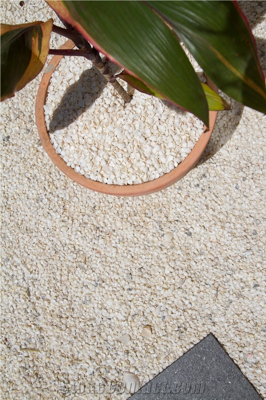 Macro Shell Landscaping Gravel