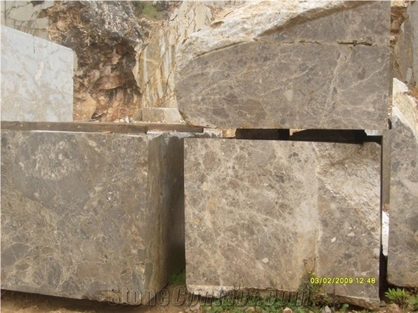 Breccia Paradiso Marble Blocks, Italy Brown Marble