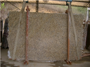 New Venetian Gold Granite Slabs, Brazil Yellow Granite