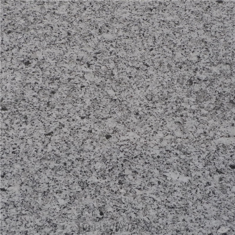 Serpa Granite Block, Cinza Evora Granite Block