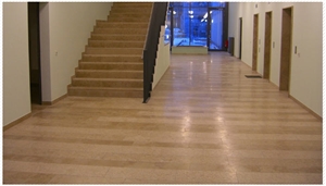 Kanfanar Limestone Flooring, Croatia Beige Limestone