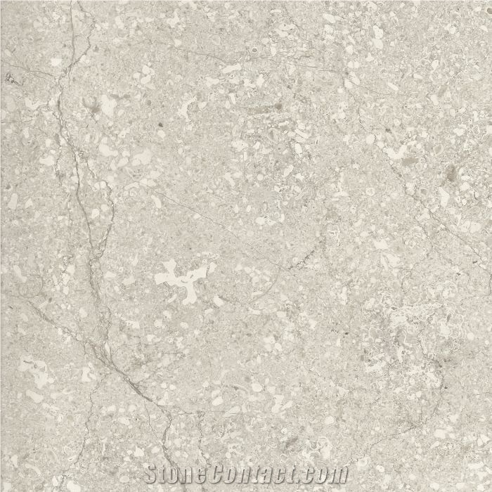Transylvania V Gray Light - Grey Limestone Tiles