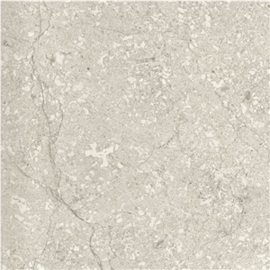 Transylvania V Gray Light - Grey Limestone Tiles