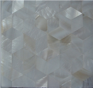M312 (14x24) Freshwater Shell Tile