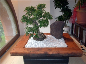 Thassos Marble, White Pebble Stone Decorated Table Top