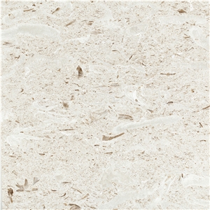 Myra Beige Limestone Slabs, Turkey White Limestone