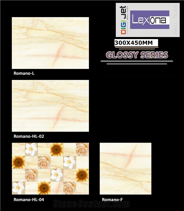 Digital Ceramic Wall Tiles