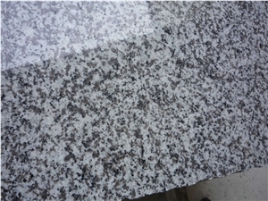 G439 Chinese White Granite, Big White Flower Granite Tiles and Slabs