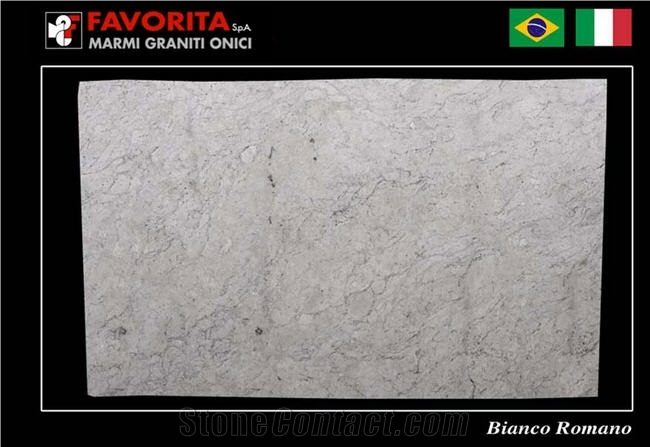 Bianco Romano Granite Slabs, Brazil White Granite