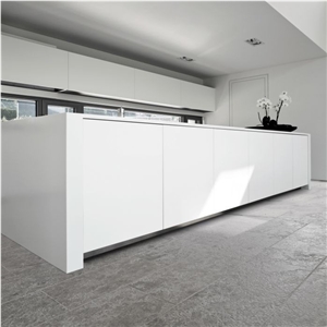 Transylvania Coral Limestone Brushed Floor Tiles, Romania Grey Limestone Transylvania Coral Limestone Brushed Floor Tiles, Romania Grey Limestone