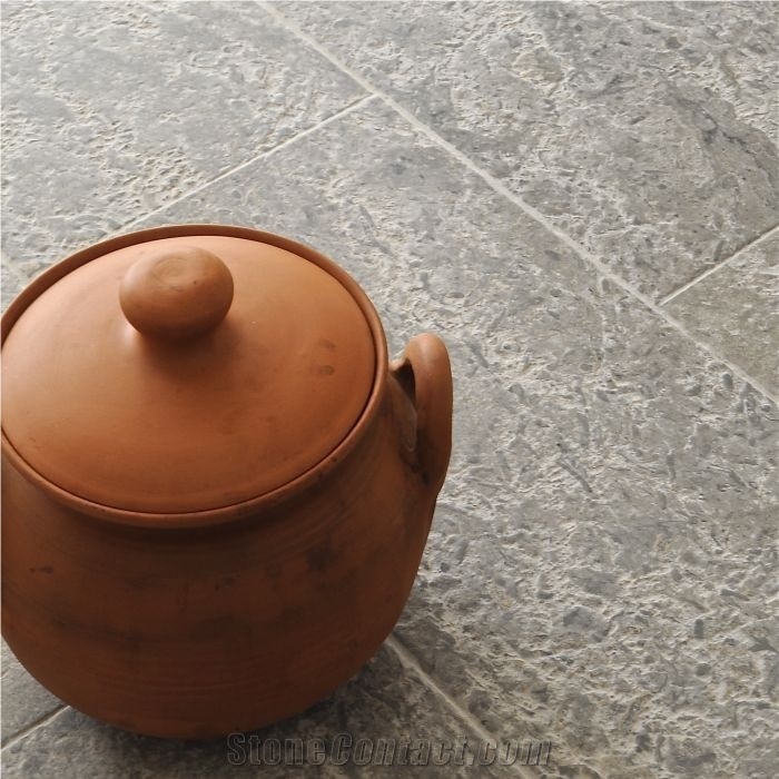 Transylvania Coral Limestone Brushed Floor Tiles, Romania Grey Limestone
