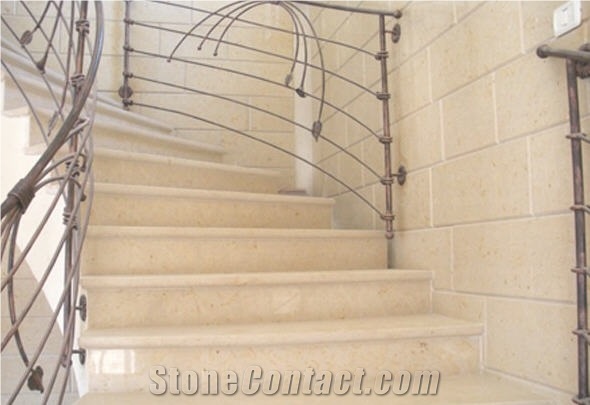 Negev Fossil Limestone Floor Pattern, Palestine Beige Limestone Stairs, Steps