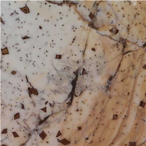 Galaxy Chip Marble Tiles, Pakistan Beige Marble