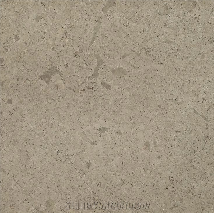Jerusalem Stone Berzait A56 Limestone Tiles,Slab, Birzeit Grey Limestone Slabs & Tiles