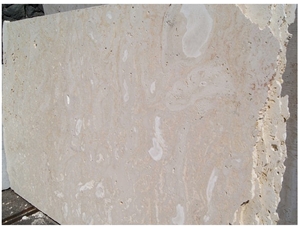 Guatemala Coral Stone Sawn Cut Slabs, Tiles