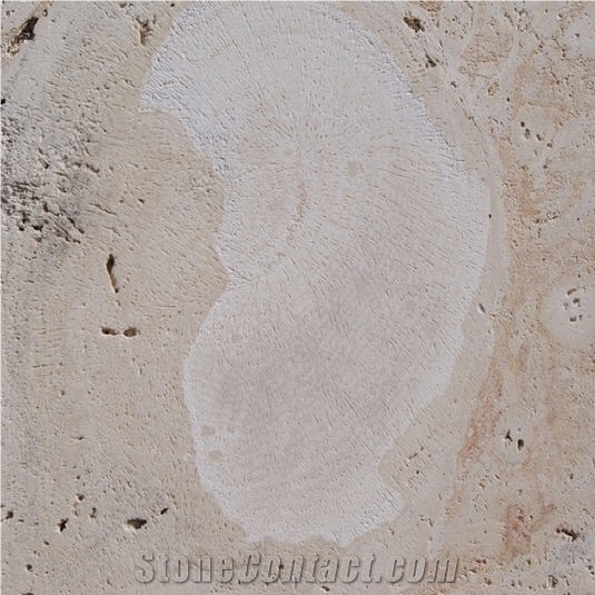 Guatemala Coral Stone Sawn Cut Slabs, Tiles