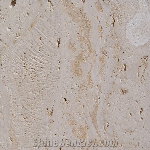 Guatemala Coral Stone Sawn Cut Slabs, Tiles