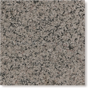 Alpine Green Flamed Granite Tile 12"x12"