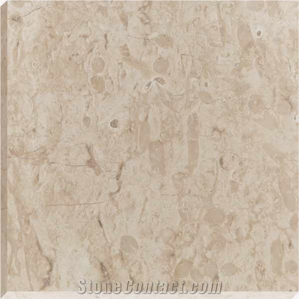 Jurassic Beige Marble Slabs, Tiles