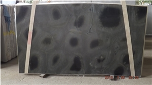 Verde Tartaruga Slabs, Brazil Green Quartzite Verde Tartaruga Slabs, Brazil Green Quartzite