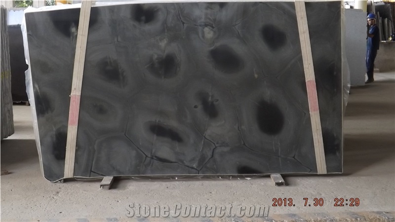 Verde Tartaruga Slabs, Brazil Green Quartzite
