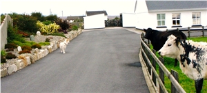 Connemara Granite for Feature Stones in Gardens and Landscapes Connemara Granite for Feature Stones in Gardens and Landscapes