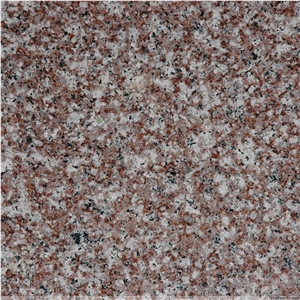 Misty Brown Granite G664 Slabs & Tiles