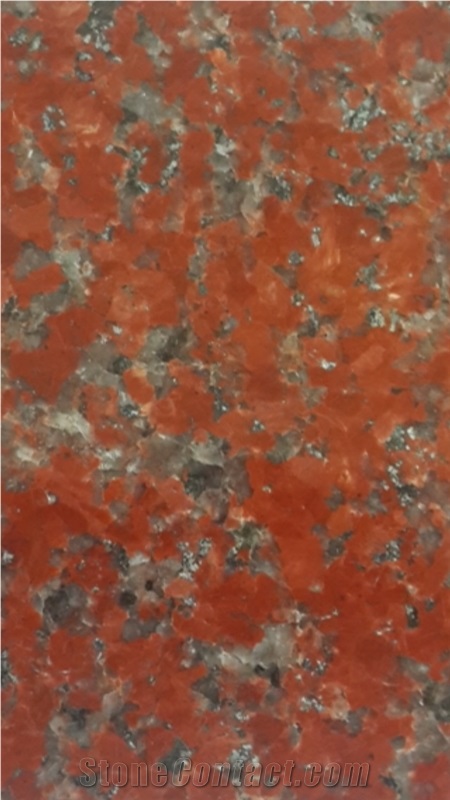 India Brown Granite Slabs & Tiles