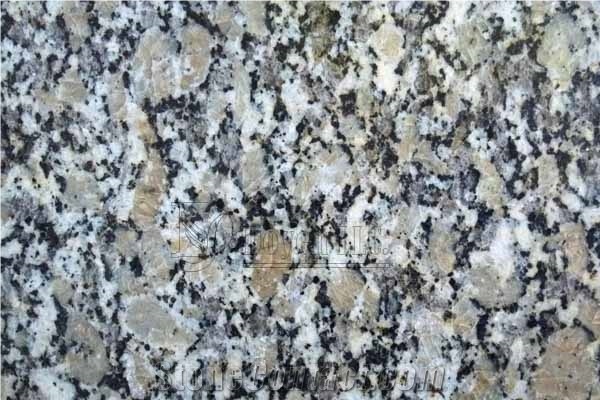 China Sesame Gold Granite Polished Bar Tops