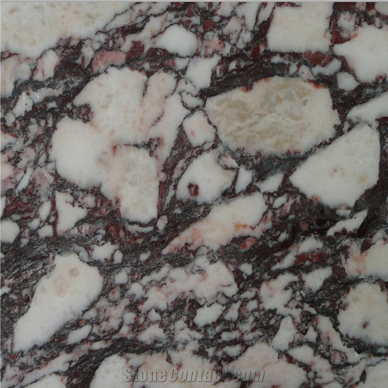 Breccia Violetta Marble Slabs, Tiles