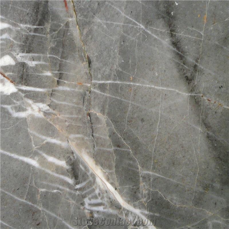 Breche Versailles Marble Tiles