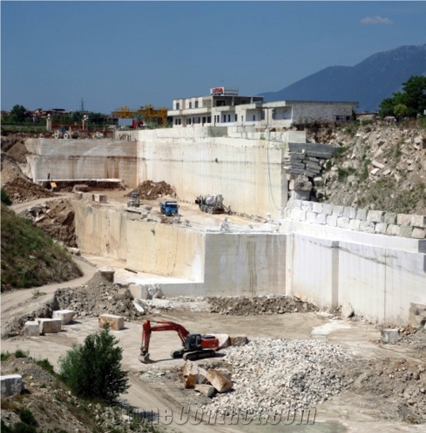 Travertino Romano Oniciato Travertine Block, Italy Beige Travertine