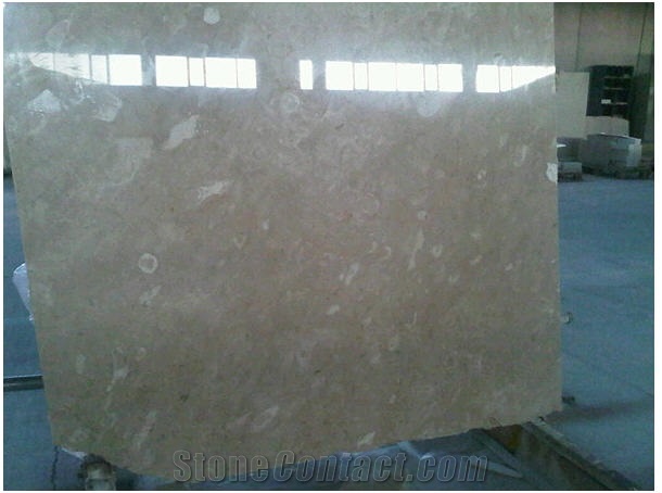 Eyra Fossil Mable Marble Block, Turkey Beige Marble