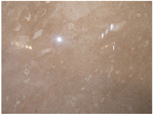 Eyra Fossil Mable Marble Block, Turkey Beige Marble