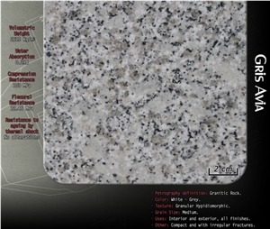 Gris Avila Granite Blocks, Gris Avia