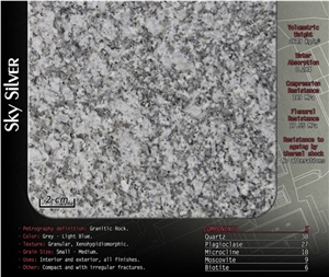Sky Silver Granite Blocks