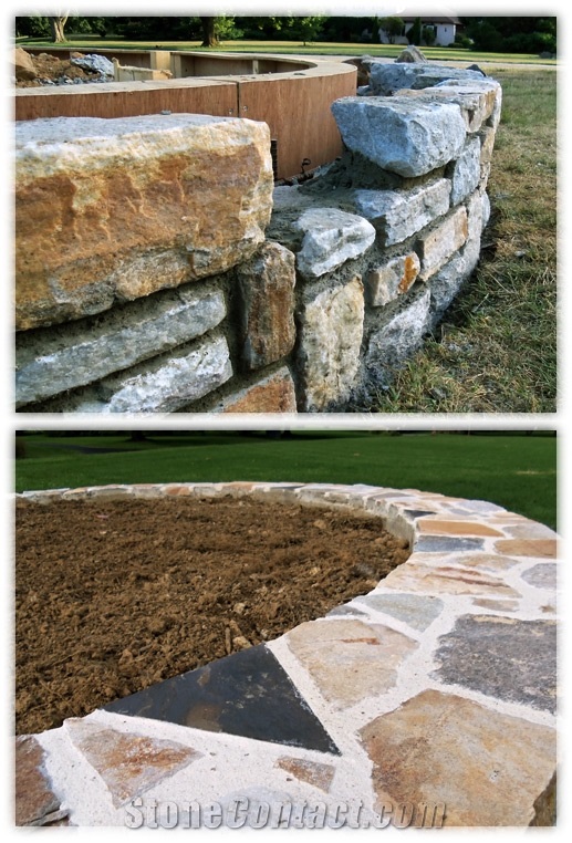 Circular Maple Tree Planter