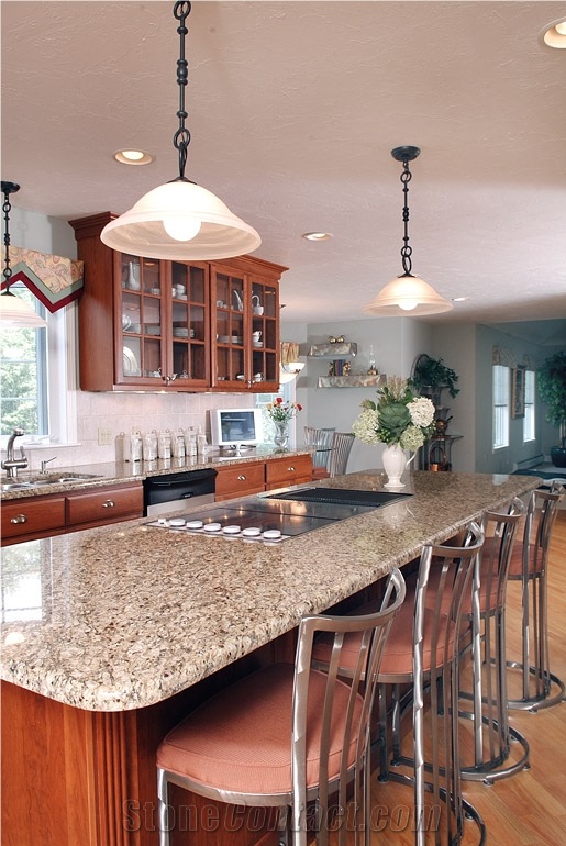 Polished New Venetian Gold Granite Countertop, Cooktop in Raised Bar
