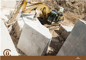 Breccia Marina Dark Marble Blocks, Italy Beige Marble