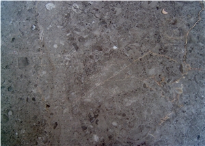 Grigio Billiemi - Grey William