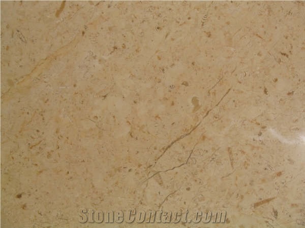 Jerusalem Bone Limestone Slabs & Tiles, Israel Beige Limestone