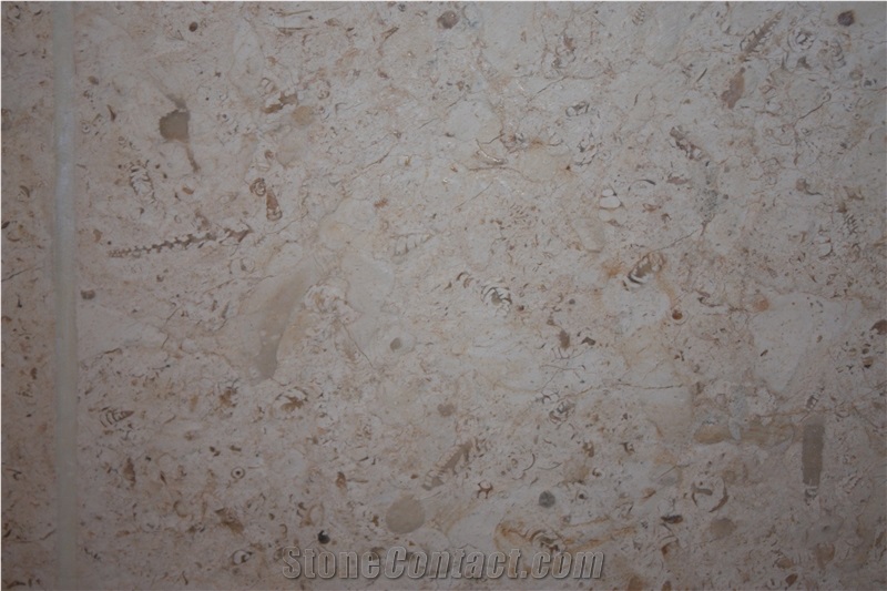 Jerusalem Bone Limestone Slabs & Tiles, Israel Beige Limestone