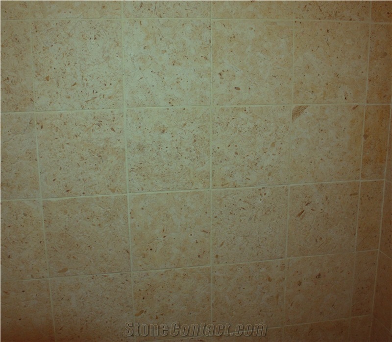 Jerusalem Bone Limestone Slabs & Tiles, Israel Beige Limestone