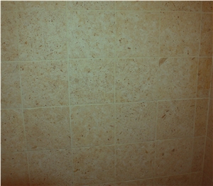 Jerusalem Bone Limestone Slabs & Tiles, Israel Beige Limestone