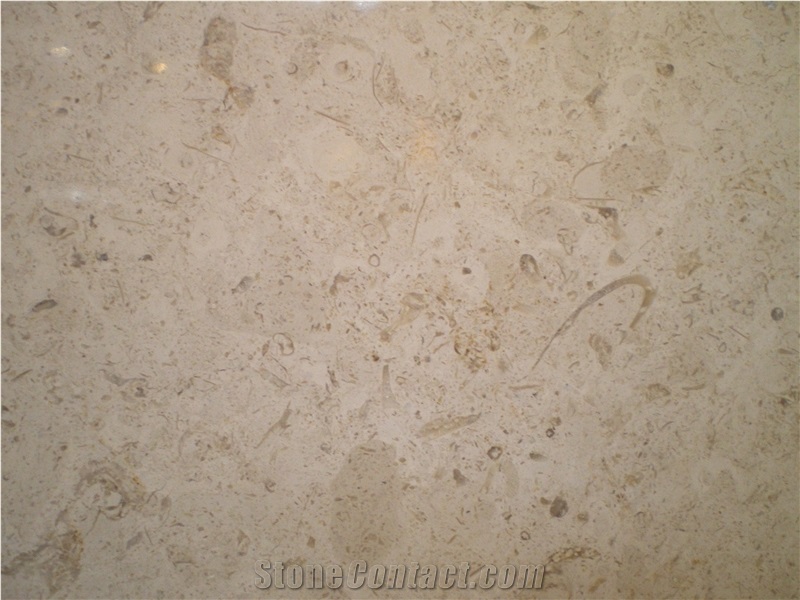Jerusalem Bone Limestone Slabs & Tiles