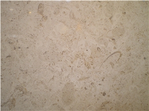 Jerusalem Bone Limestone Slabs & Tiles