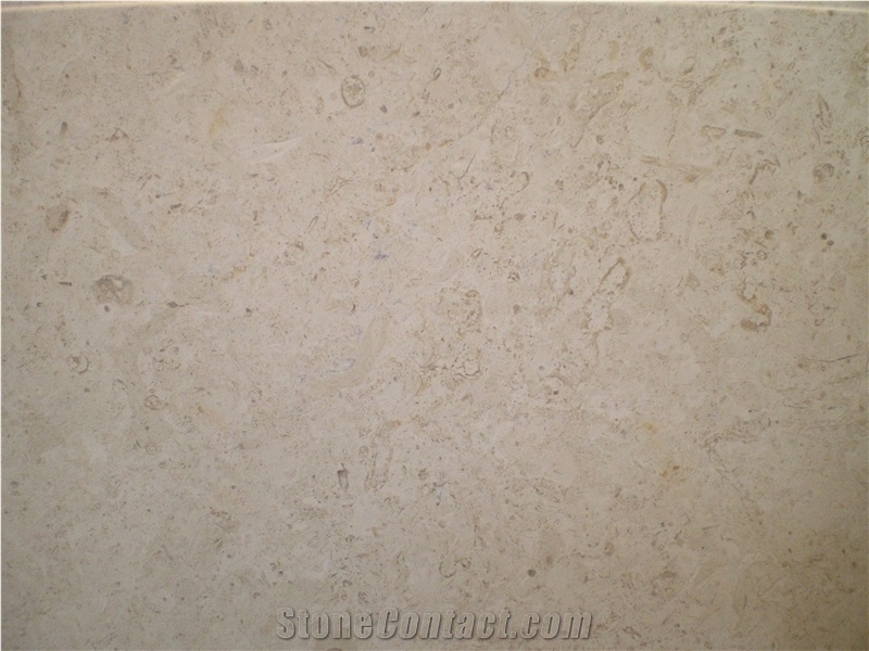 Jerusalem Bone Limestone Slabs & Tiles