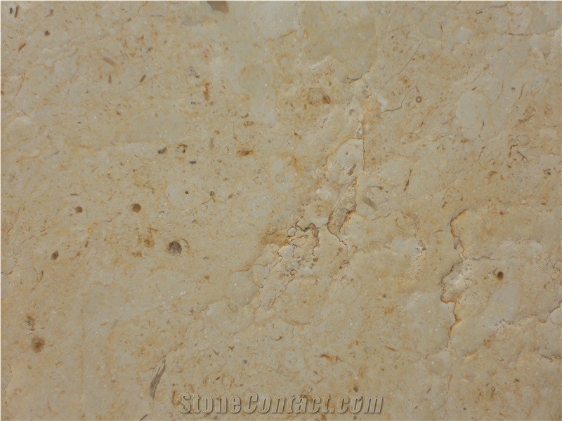 Jerusalem Ivory Lace Limestone Tiles