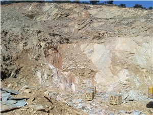 Yellow Slate Irregular Flagstone